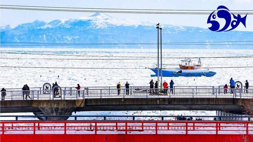 北海道羅臼町新しい関わり方アイデアコンテスト