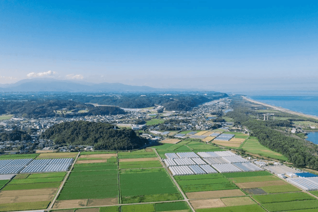 宮崎県新富町「半々ビジネス」アイデアコンテスト
